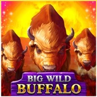 game logo by Belatra Games on rickycasino.fi